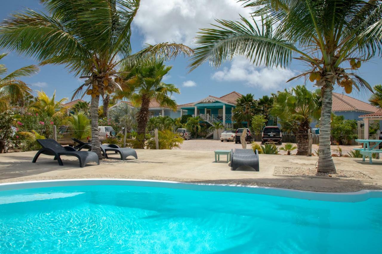 Ocean Blue Bonaire Lägenhet Playa Exteriör bild